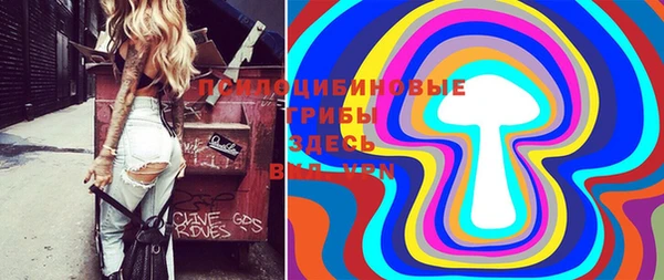 гидропоника Балахна