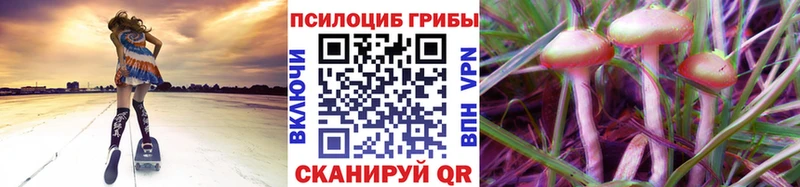 наркошоп  Тутаев  мега маркетплейс  Псилоцибиновые грибы мухоморы 